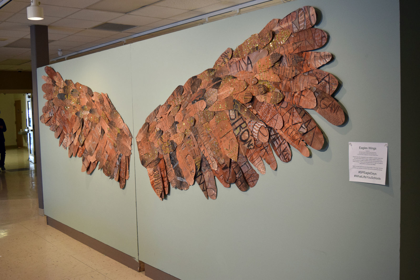 012019-sauk-gallery-eagle003